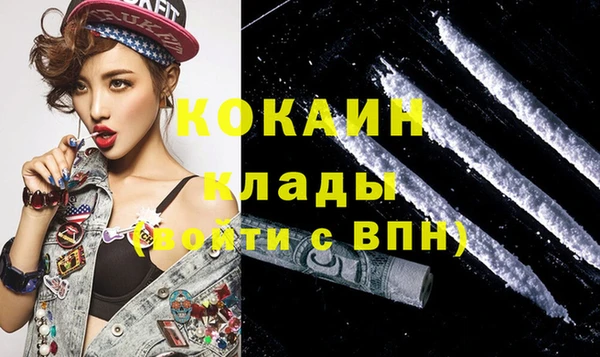 бошки Белокуриха