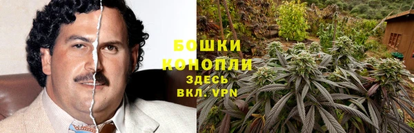 бошки Белокуриха
