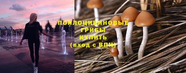бошки Белокуриха